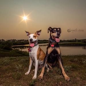 Meet your Posher, Tamara